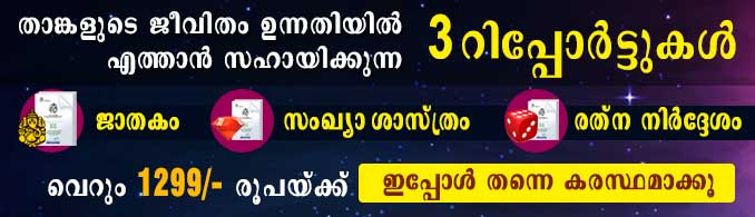 Free Birth Horoscope Chart In Malayalam